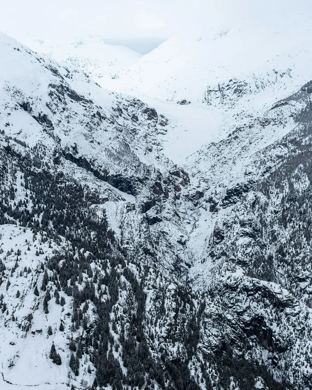 Spaziergang hexenwald