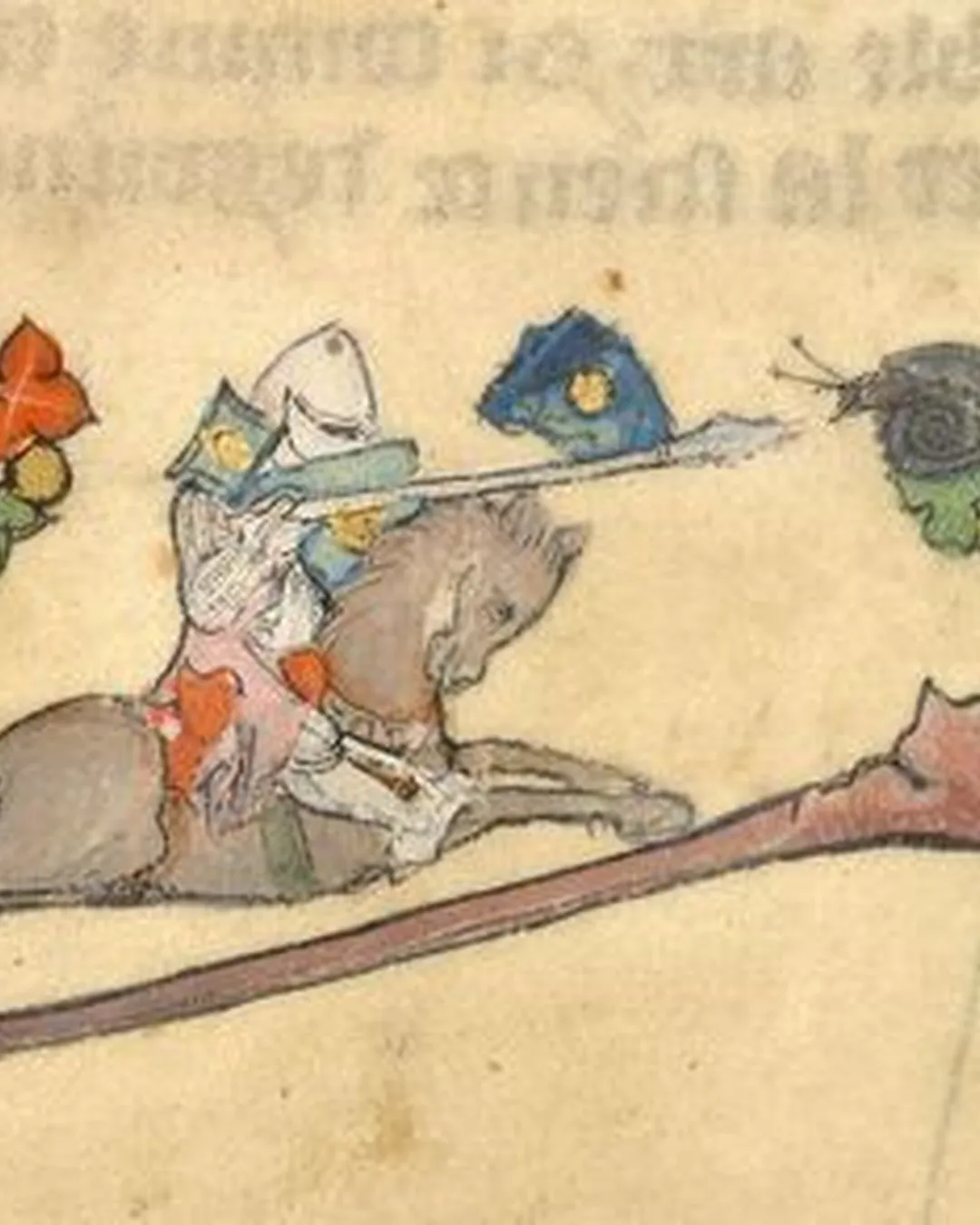 Knight, Fighting Snail
