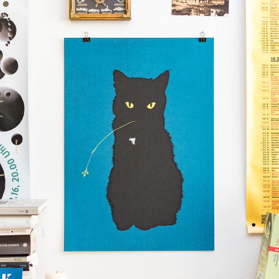 Die Nachtkatze
