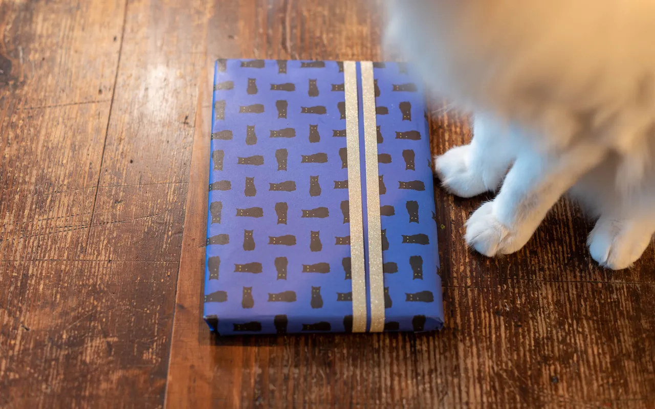 Geschenkpapier, DSC 5829