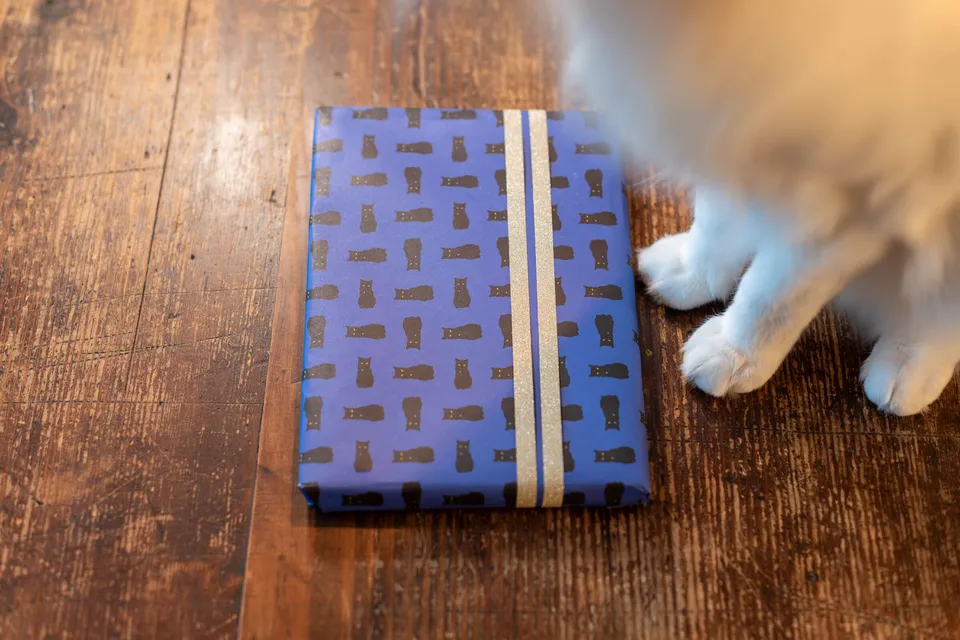 Geschenkpapier,Nachtkatze